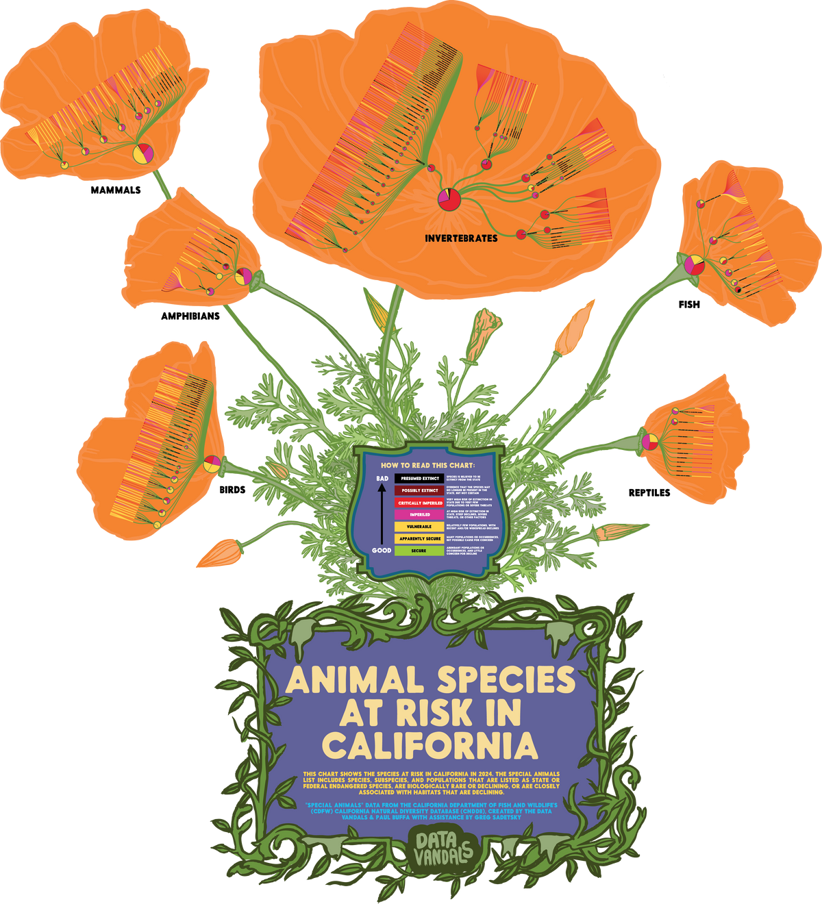 LA Special Animals